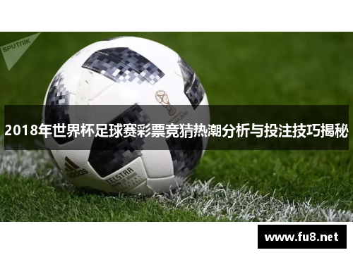 2018年世界杯足球赛彩票竞猜热潮分析与投注技巧揭秘