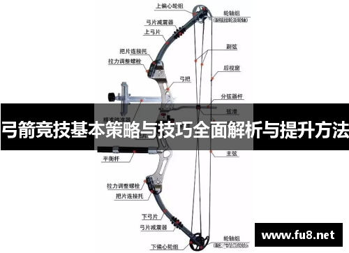 弓箭竞技基本策略与技巧全面解析与提升方法