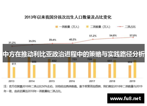 中方在推动利比亚政治进程中的策略与实践路径分析